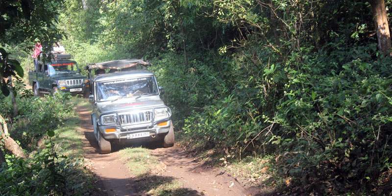 dandeli tourist places package